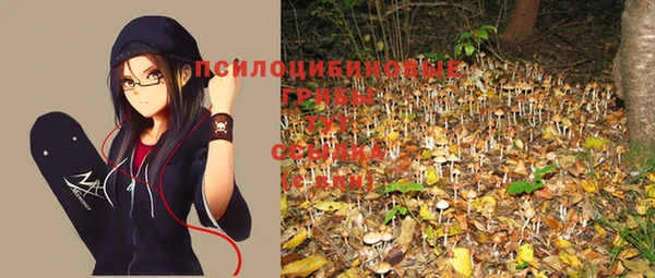 метадон Туринск
