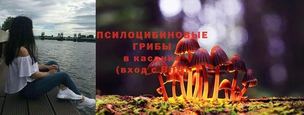 метадон Туринск